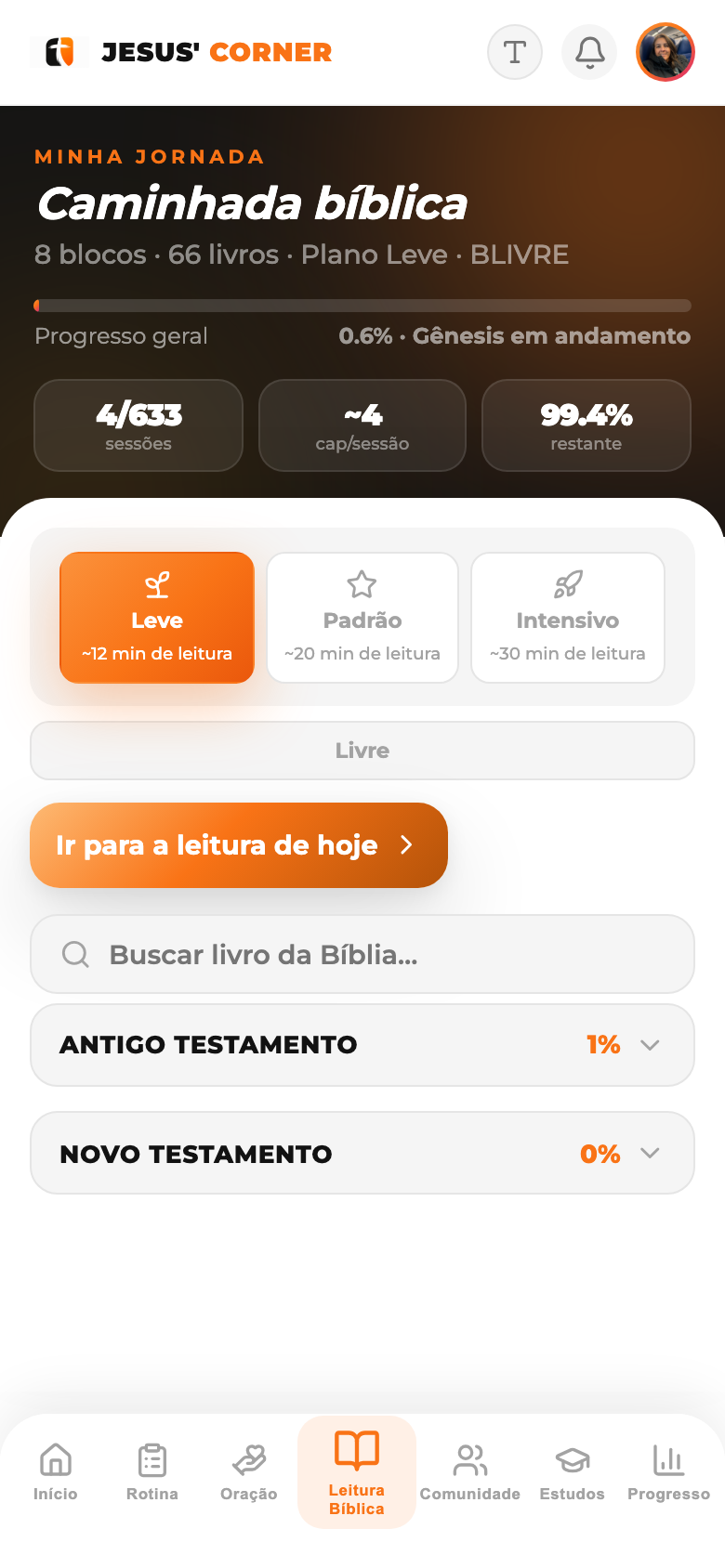 Sua jornada, organizada por Antigo e Novo Testamento
